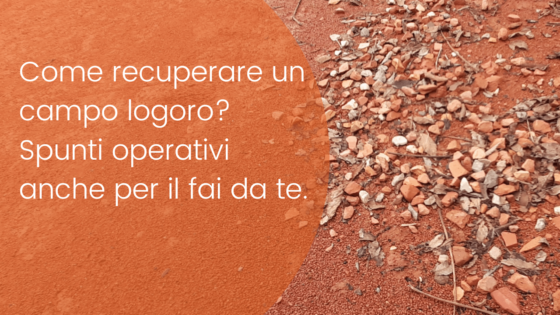 Campo in terra rossa al limite, con i sassi che affiorano. Com’è possibile intervenire?