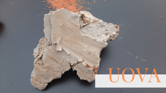 #uovo